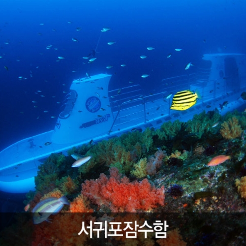 제주 서귀포 잠수함 입장권